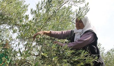 Yapay zekâ ve dijitalleşme ile Türk tarımında verimlilik, gıda güvenliği ve ihracat artacak, gıda kayıpları önlenecek